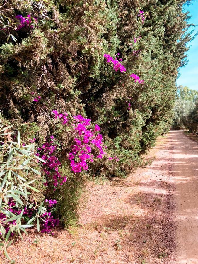 Luna&Limoni Country مورافيرا المظهر الخارجي الصورة