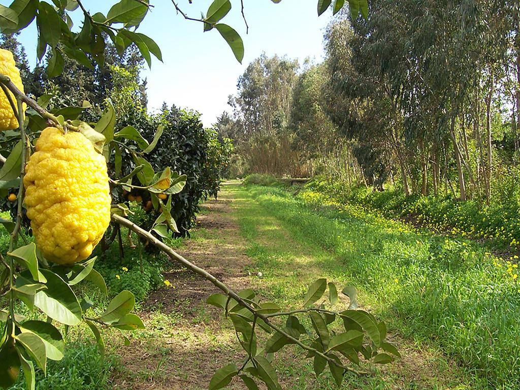 Luna&Limoni Country مورافيرا المظهر الخارجي الصورة