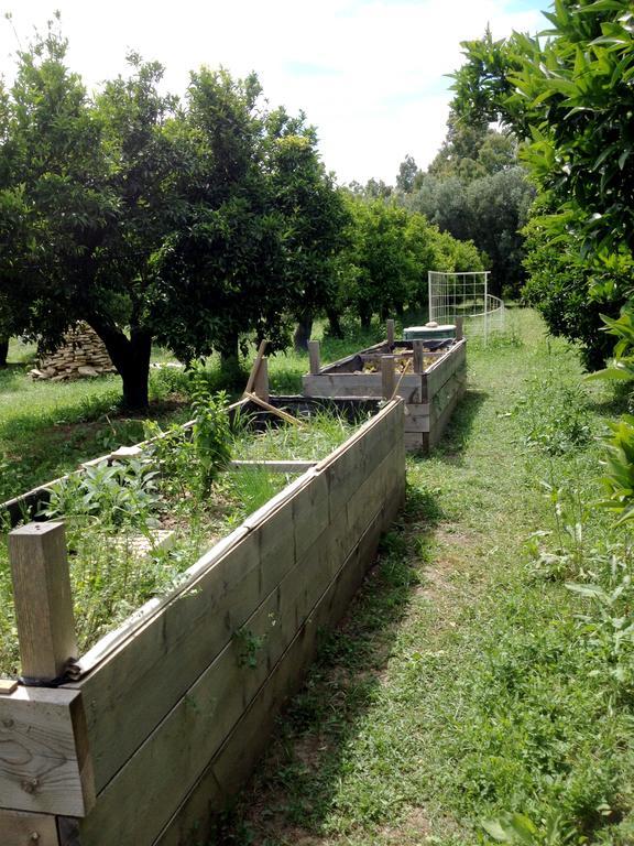 Luna&Limoni Country مورافيرا المظهر الخارجي الصورة